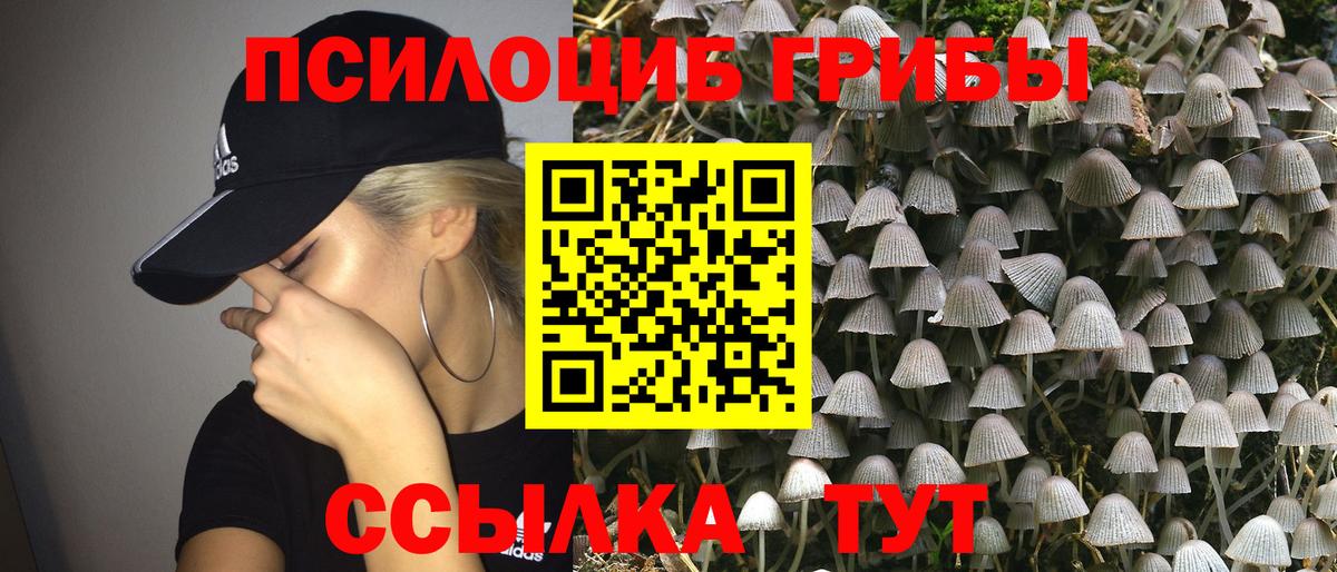 Стрежевой  Галлюциногенные грибы мицелий  Вход с VPN 