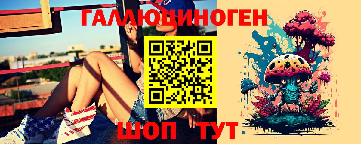 Галлюциногенные грибы Psilocybe Стрежевой